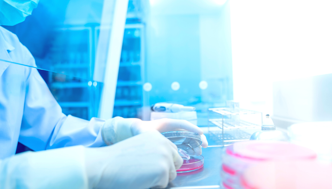 PhRMA submits comments to USPTO highlighting important role of patent system in medicine development
